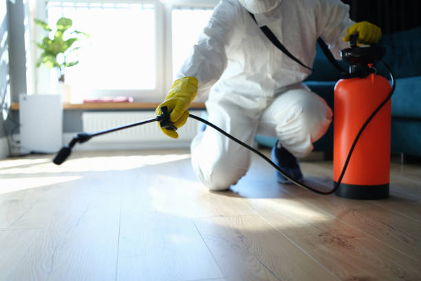 Best Affordable Pest Control Services  in Yale, MI