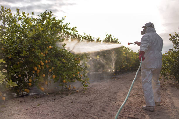 Best Best Pest Control Companies  in Yale, MI