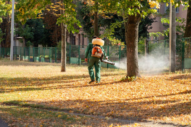 Best Local Pest Control Services  in Yale, MI